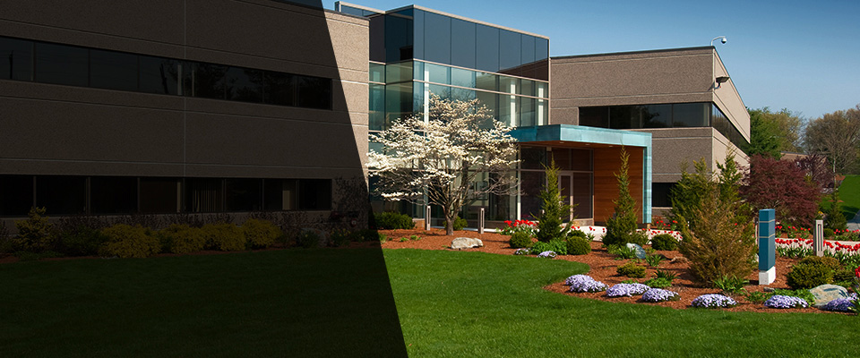 Appleton Landscapers