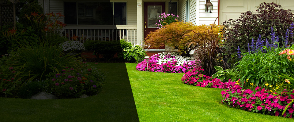 Appleton Landscapers