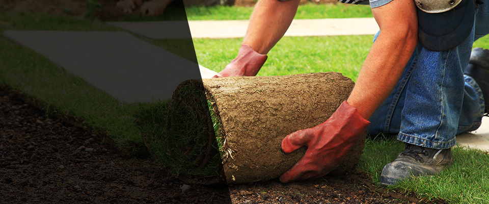 Appleton Landscapers